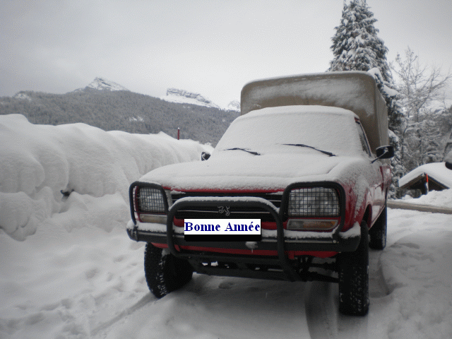 neige2011_3.gif